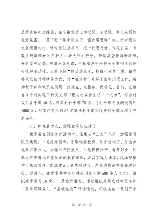 水洛镇党委开展创先争优活动典型材料.docx