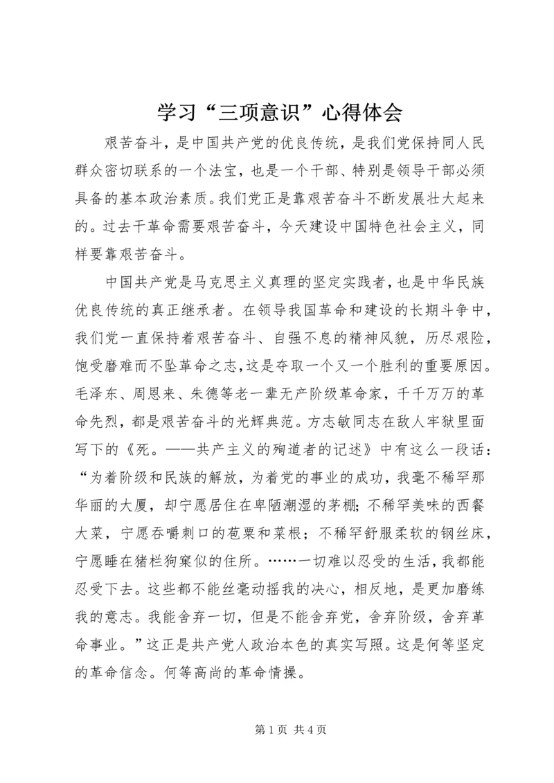 学习“三项意识”心得体会.docx