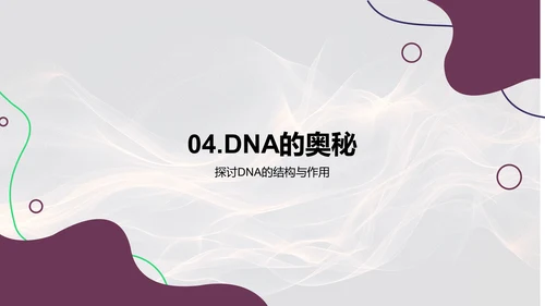 DNA复制高中教学