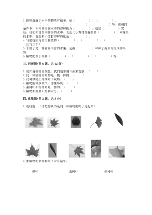 教科版科学一年级上册第一单元《植物》测试卷带答案（综合卷）.docx