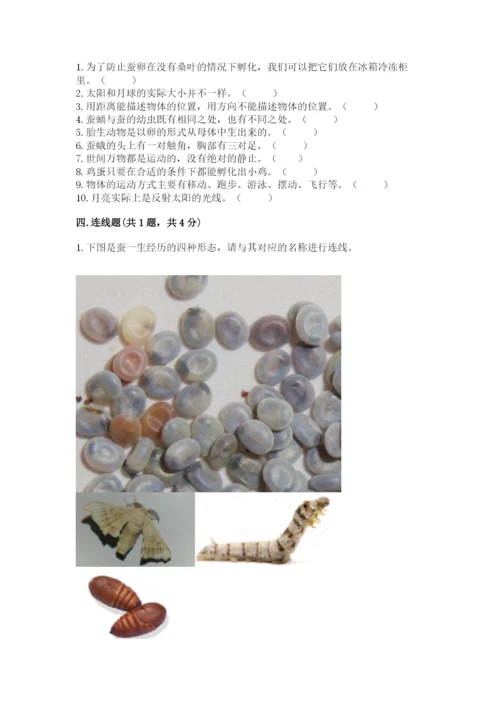 教科版科学三年级下册 期末测试卷精品（夺冠系列）.docx