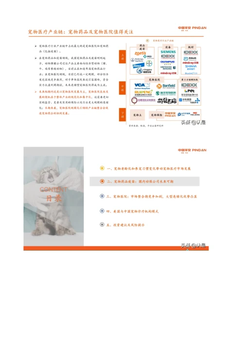 宠物行业研究报告-国产宠物药品发力在即-宠物医院市场格局初定.docx