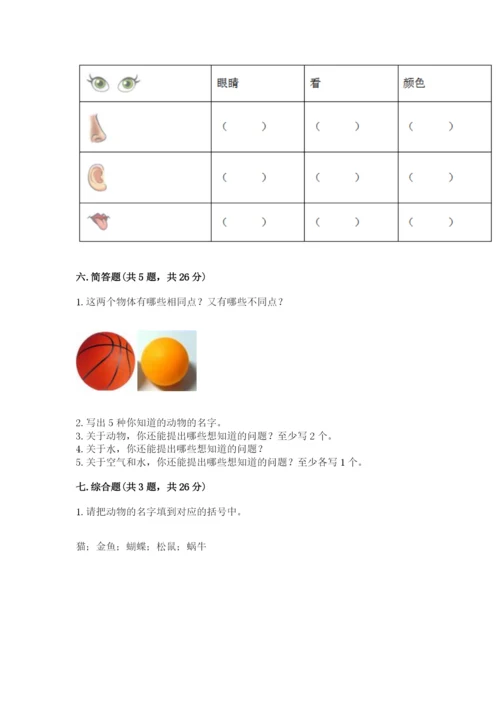 教科版小学科学一年级下册期末测试卷及参考答案（精练）.docx