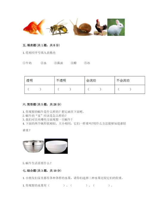 教科版小学科学一年级下册期末测试卷附参考答案【综合卷】.docx