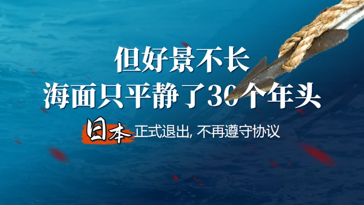 鲸落万物生鲸鱼知识讲座通用PPT模板