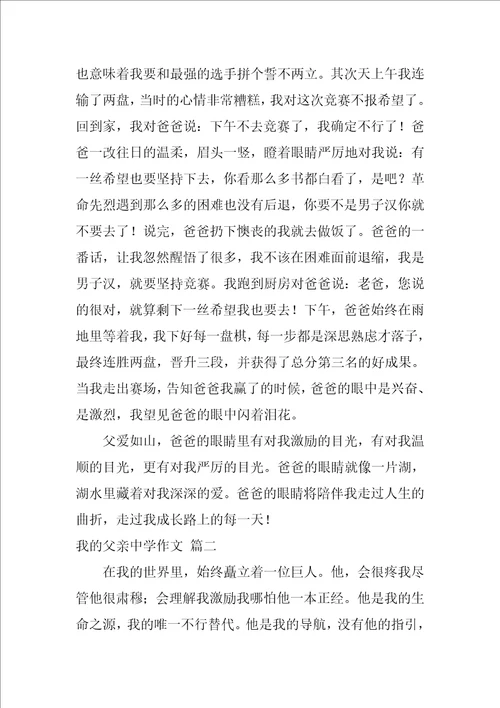 我的父亲高中作文精选4篇