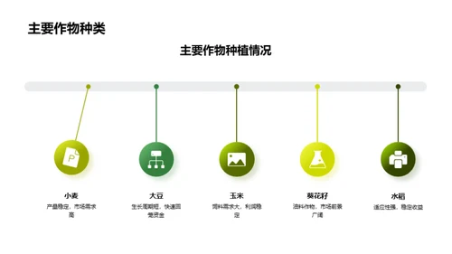 农场季度运营报告