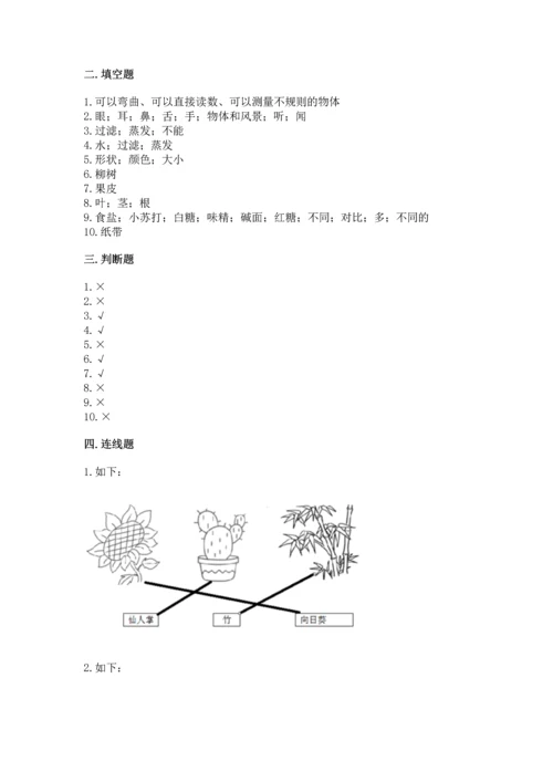 教科版一年级上册科学期末测试卷带答案下载.docx