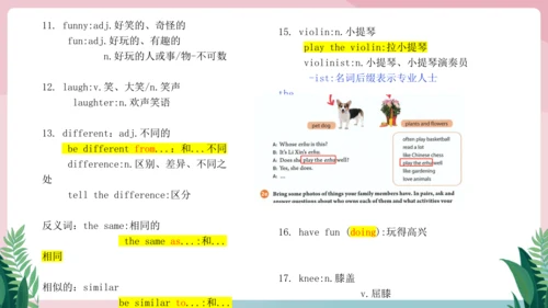 Unit 2 We're Family!单元知识复习课件【2024年人教版七年级英语上册】