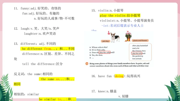 Unit 2 We're Family!单元知识复习课件【2024年人教版七年级英语上册】