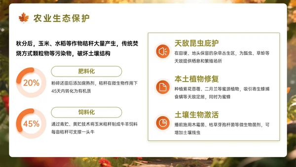 橙墨绿色3D秋分节气知识PPT模板