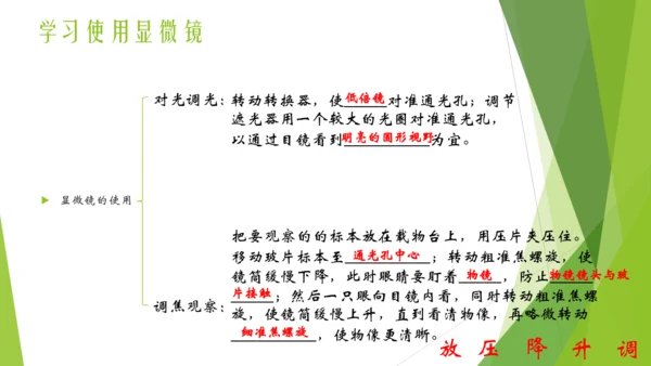 人教版七年级生物上册第一章认识生物第二章认识细胞复习课件(共23张PPT)
