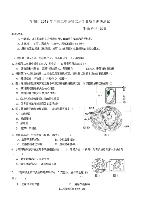 2020上海高考青浦区生物二模试卷