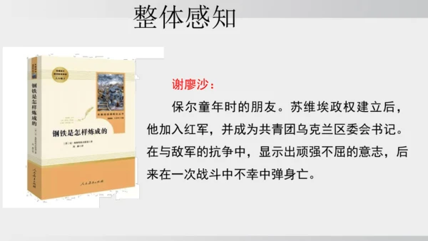 七年级下册语文第五单元整本书阅读 《钢铁是怎样炼成的》课件