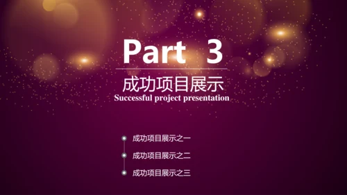 唯美2016年商务工作总结述职报告PPT