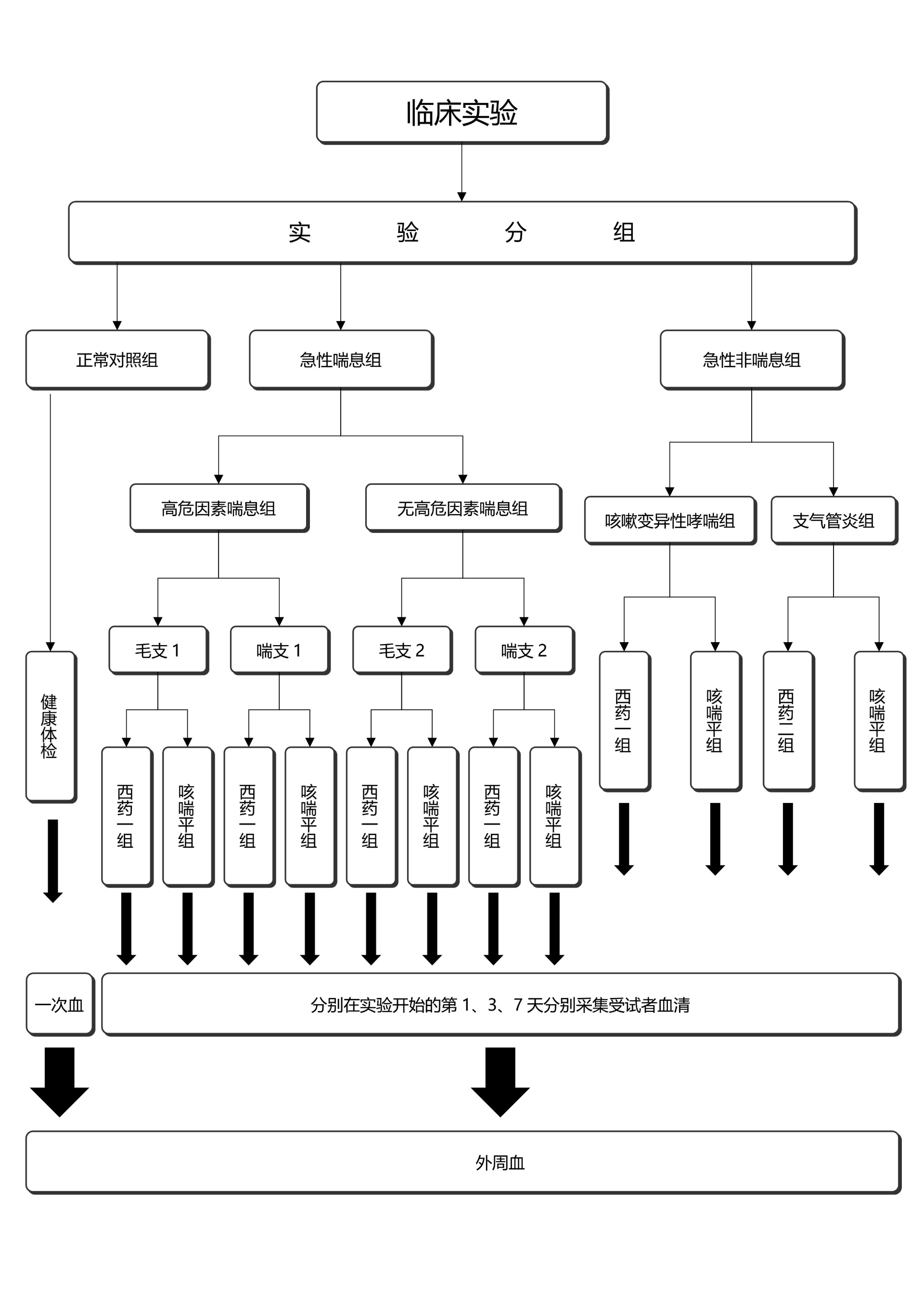 黑白简约通用论文流程图