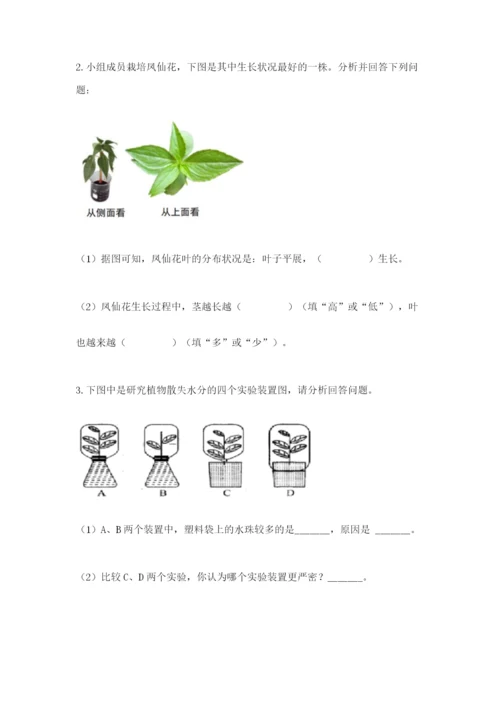 科学四年级下册第一单元植物的生长变化测试卷（夺冠系列）.docx