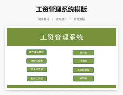 工资管理系统模版