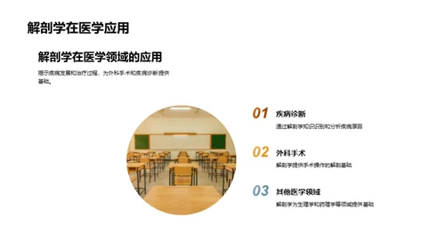 探索解剖学魅力