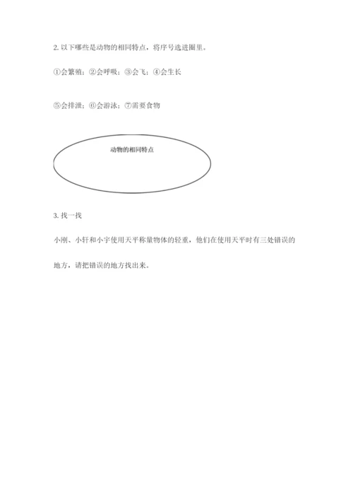教科版小学科学一年级下册期末测试卷及完整答案【易错题】.docx