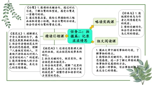 部编版语文五上第一单元 大单元教学设计--与自然对话，记录镜头下的心爱之物 说课课件