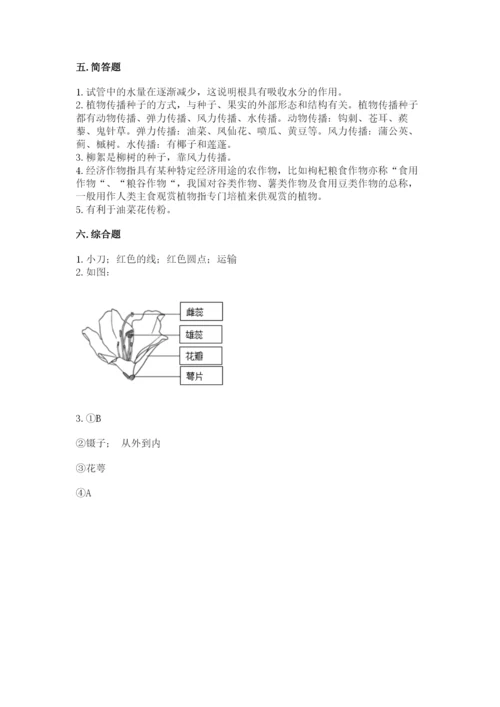 教科版科学四年级下册第一单元《植物的生长变化》测试卷【预热题】.docx