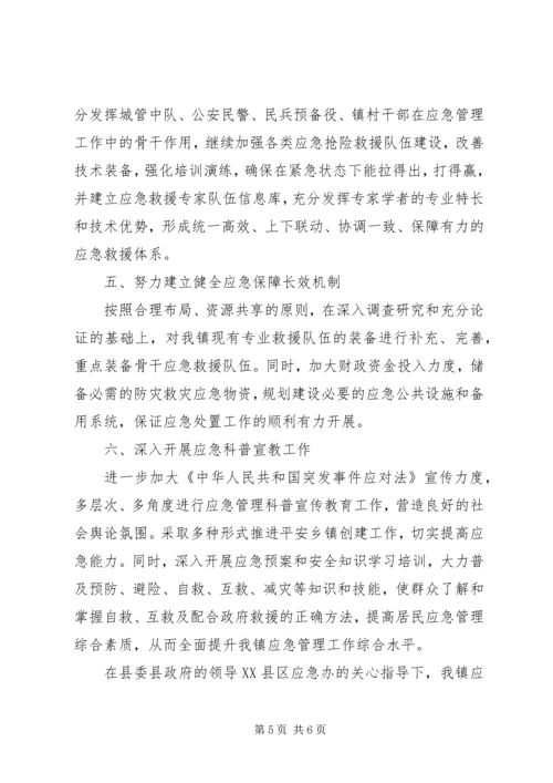 应急管理示范点创建工作总结及XX年工作计划.docx
