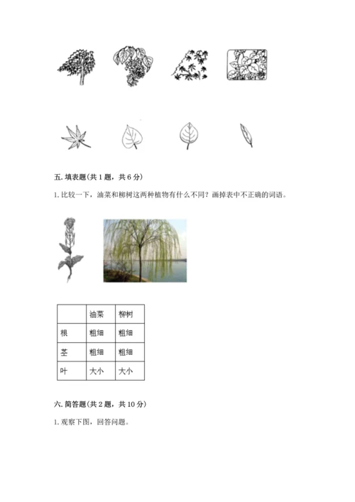 教科版科学一年级上册第一单元《植物》测试卷（全优）word版.docx