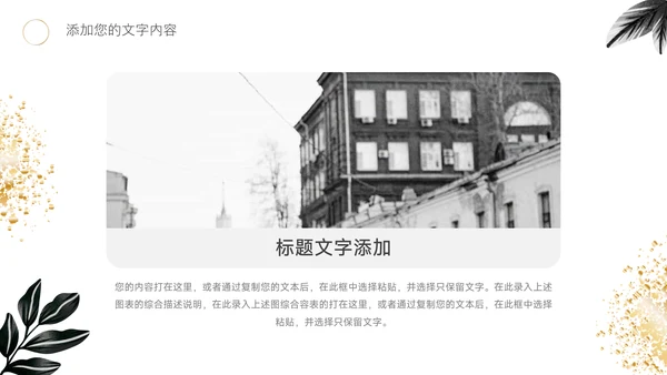 黑金文艺高端短视频运营教程PPT模板