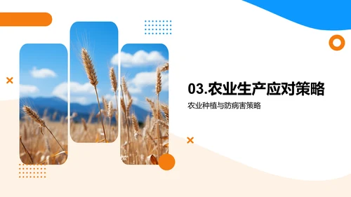 夏至农业气候指导