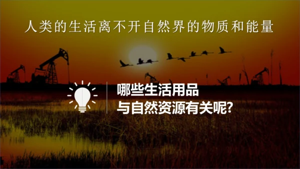 3.1 自然资源的基本特征（课件38张）-人教版八年级地理上册