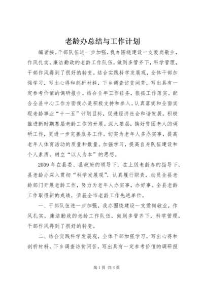 老龄办总结与工作计划.docx