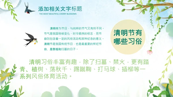 清明节传统文化知识民俗主题班会PPT模板