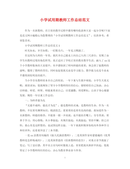 精编之小学试用期教师工作总结范文.docx