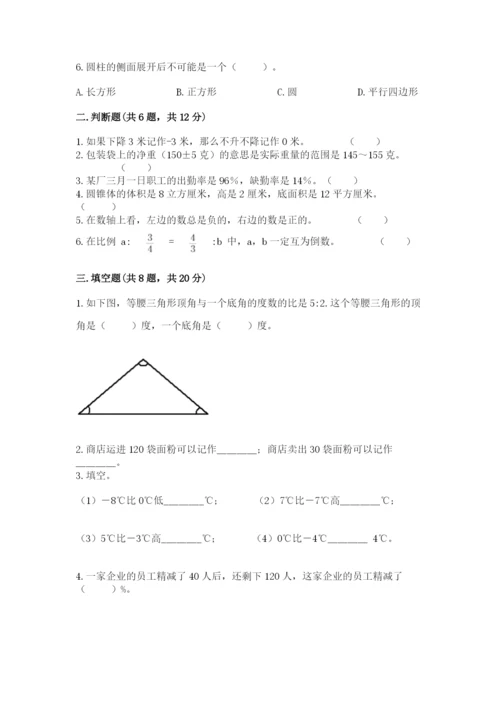 嵊州市六年级下册数学期末测试卷（精练）.docx