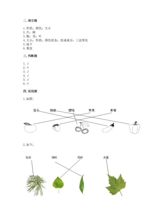 教科版科学一年级上册第一单元《植物》测试卷及参考答案（a卷）.docx