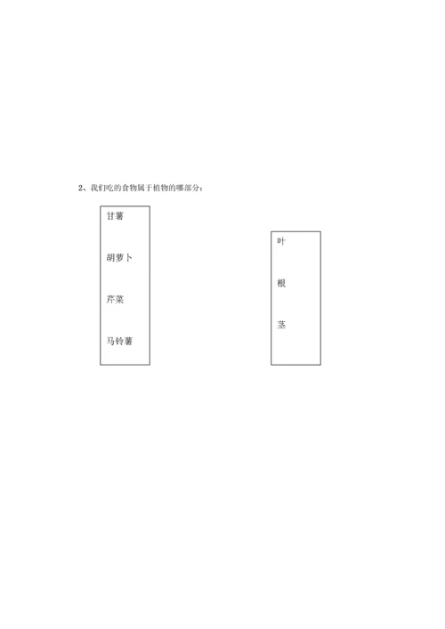 苏教版三年级科学下册单元测试题-题目.docx