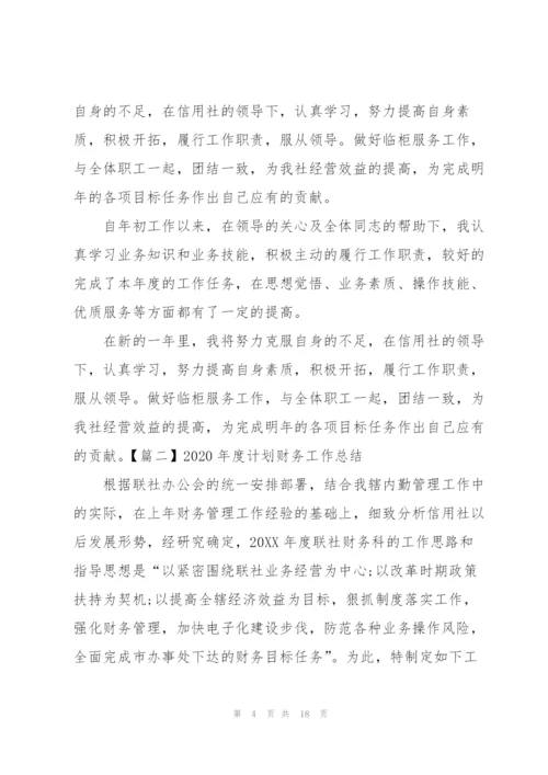 2020年度计划财务工作总结.docx