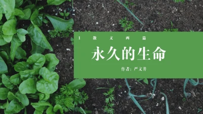 第16课《永久的生命》同步课件
