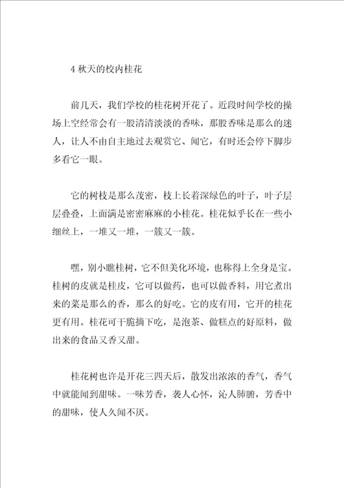 描绘桂花的作文