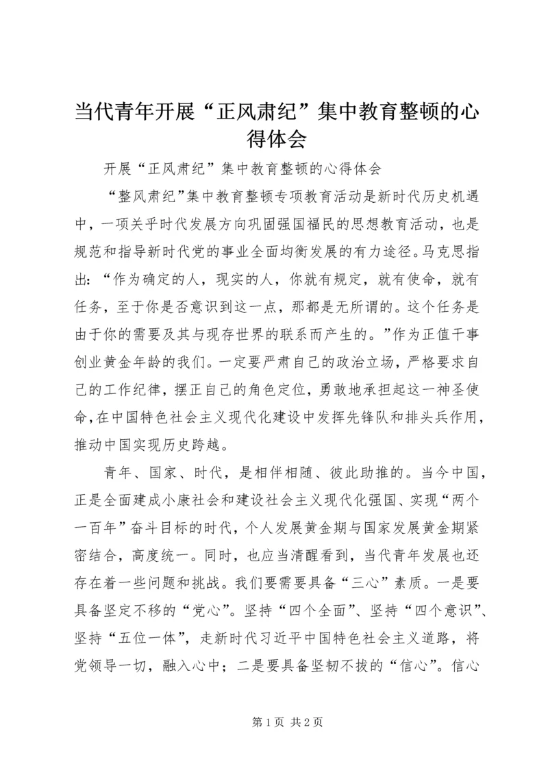 当代青年开展“正风肃纪”集中教育整顿的心得体会.docx