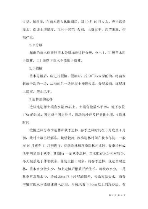 梭梭荒漠造林技术论文.docx