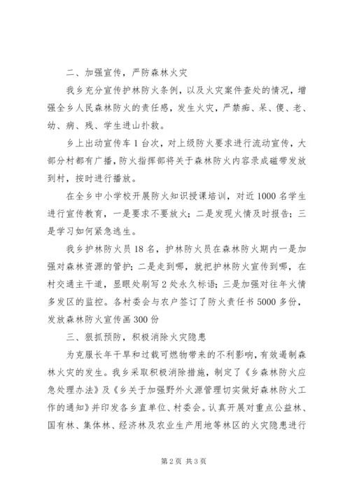 乡镇的年度森林防火工作总结.docx