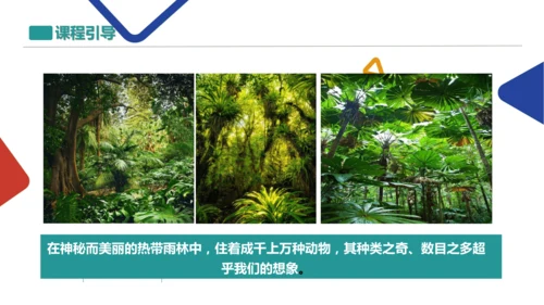 植物与动物