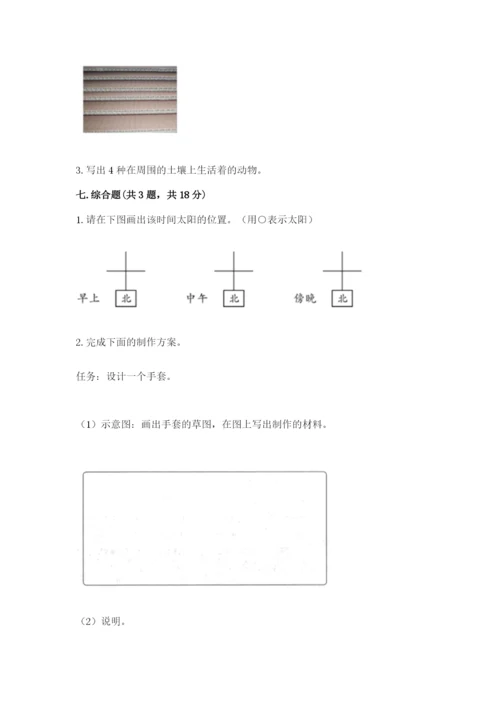 教科版小学二年级上册科学期末测试卷【综合卷】.docx