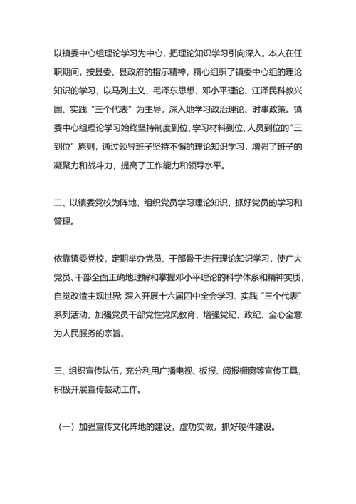 某镇宣传工作总结.docx