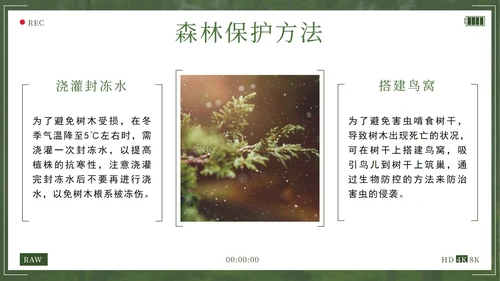 绿色拥抱春天播种希望植树节主题班会带内容PPT模板