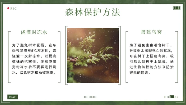 绿色拥抱春天播种希望植树节主题班会带内容PPT模板