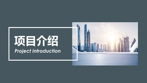 稳重内容详细简约大气商业计划书ppt模板