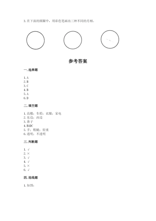 教科版小学二年级上册科学期末测试卷a4版.docx